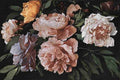 peonies Art A4 Photo Print