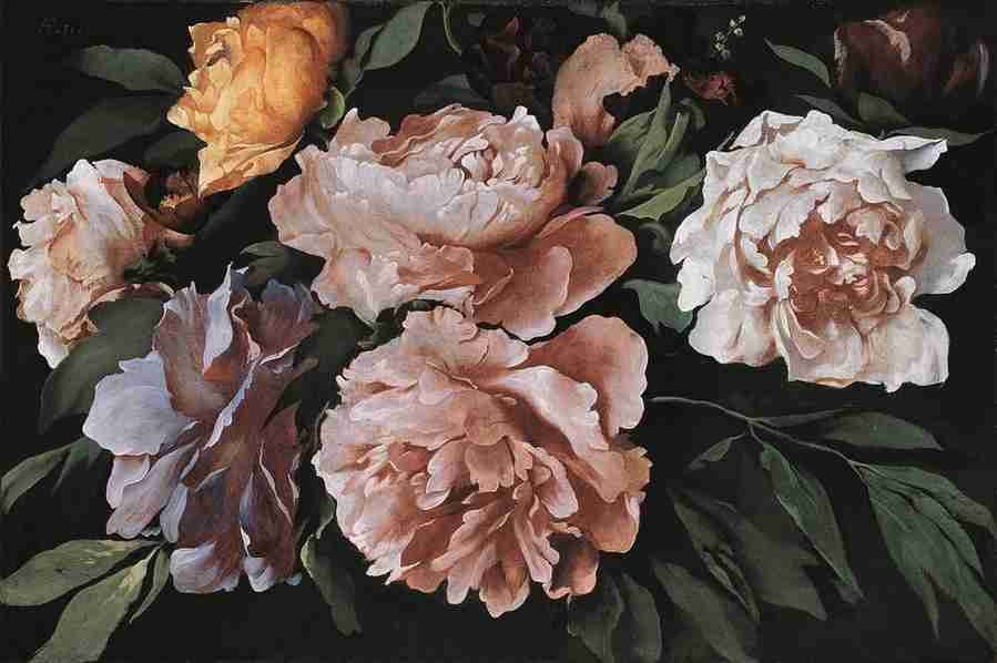 peonies Art A4 Photo Print