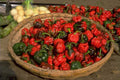 pepper chili basket 1980s 1990s A4 Photo Print