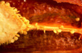 pepper cross section Vintage A4 Photo Print