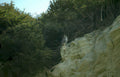 peregrine falcon cliffside 3 Vintage A4 Photo Print