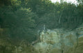 peregrine falcon cliffside 4 Vintage A4 Photo Print