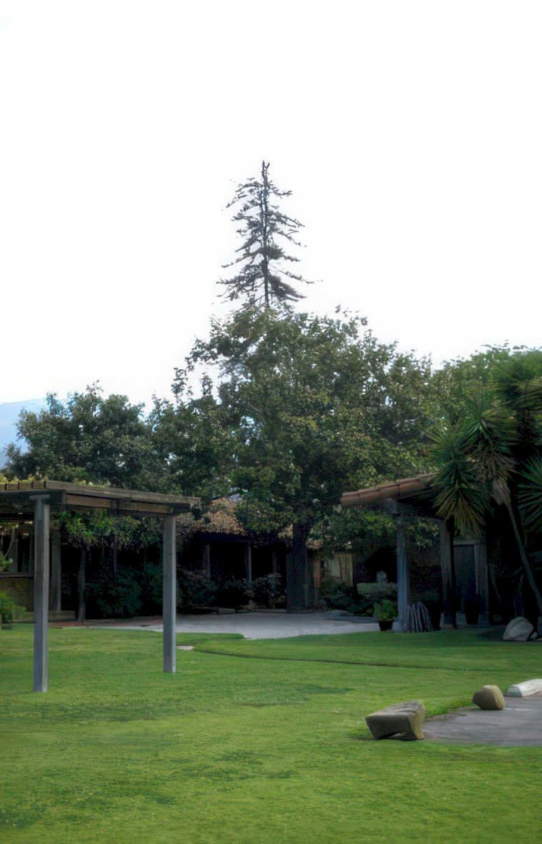 pergola garden scene Vintage A4 Photo Print