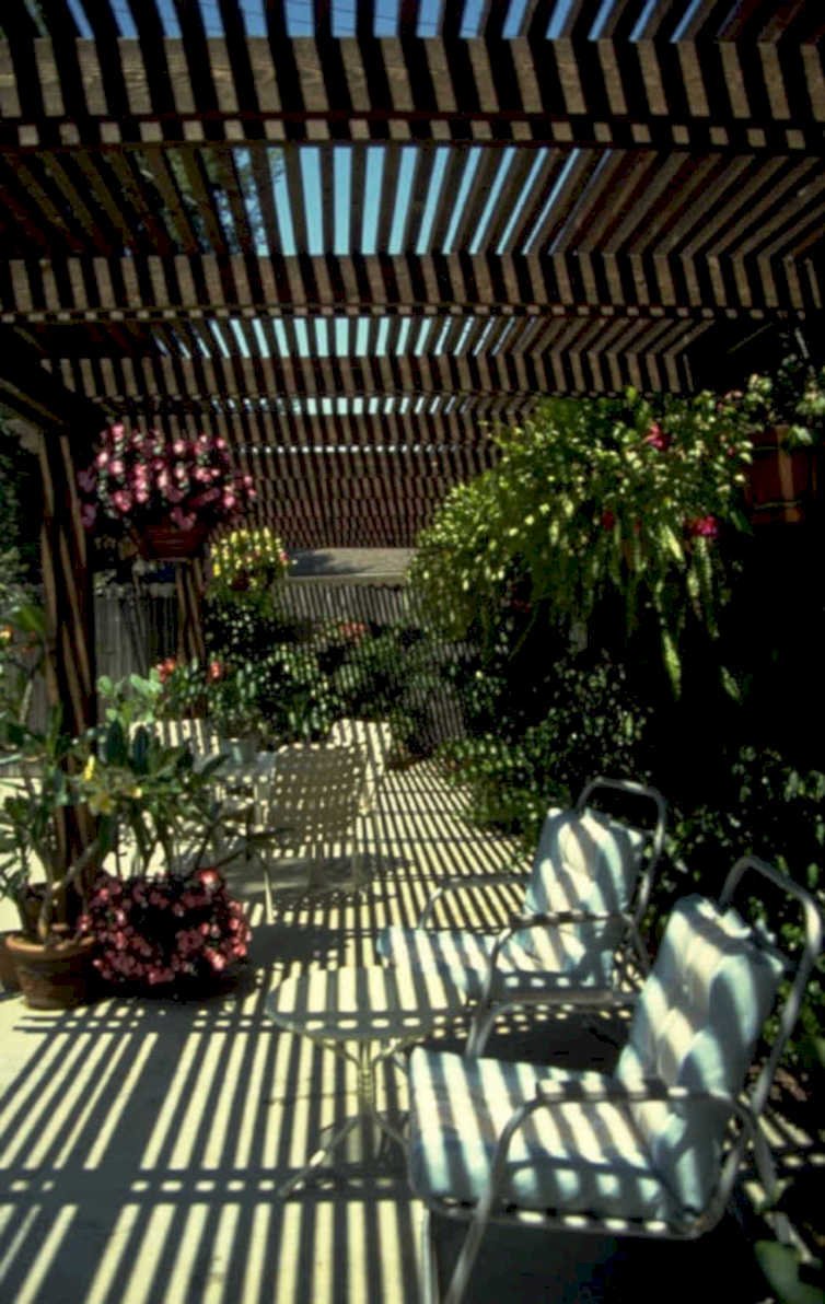 pergola garden shadows 1980s 1990s A4 Photo Print
