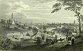 pet Dublin from Phoenix Park Art A4 Photo Print