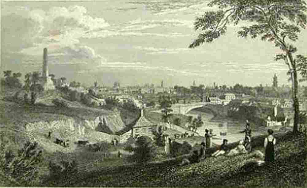 pet Dublin from Phoenix Park Art A4 Photo Print