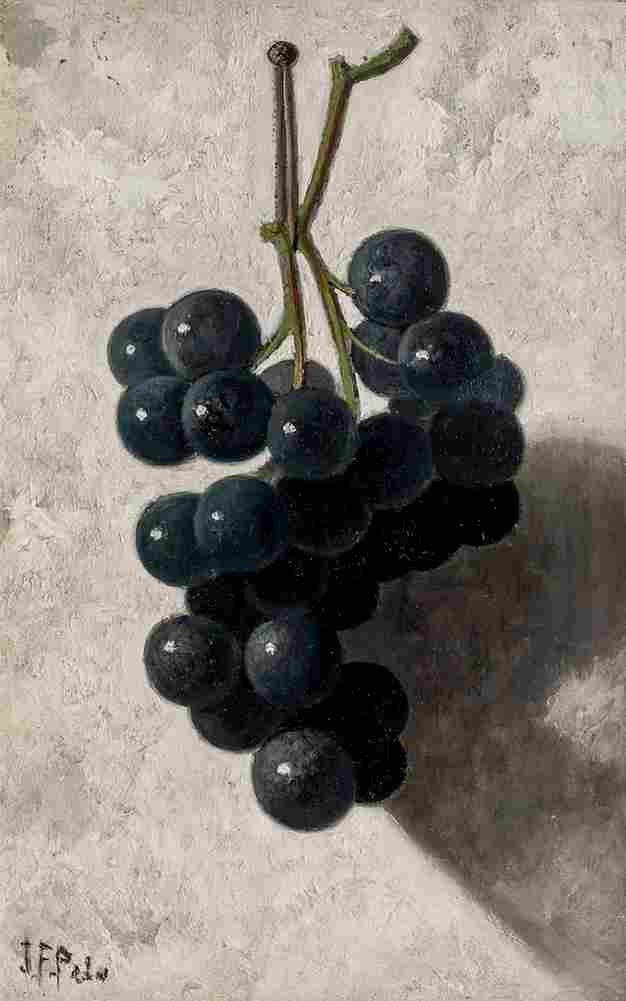 peto hanging grapes Art A4 Photo Print