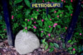 petroglifo stone flowers1980s 1990s A4 Photo Print