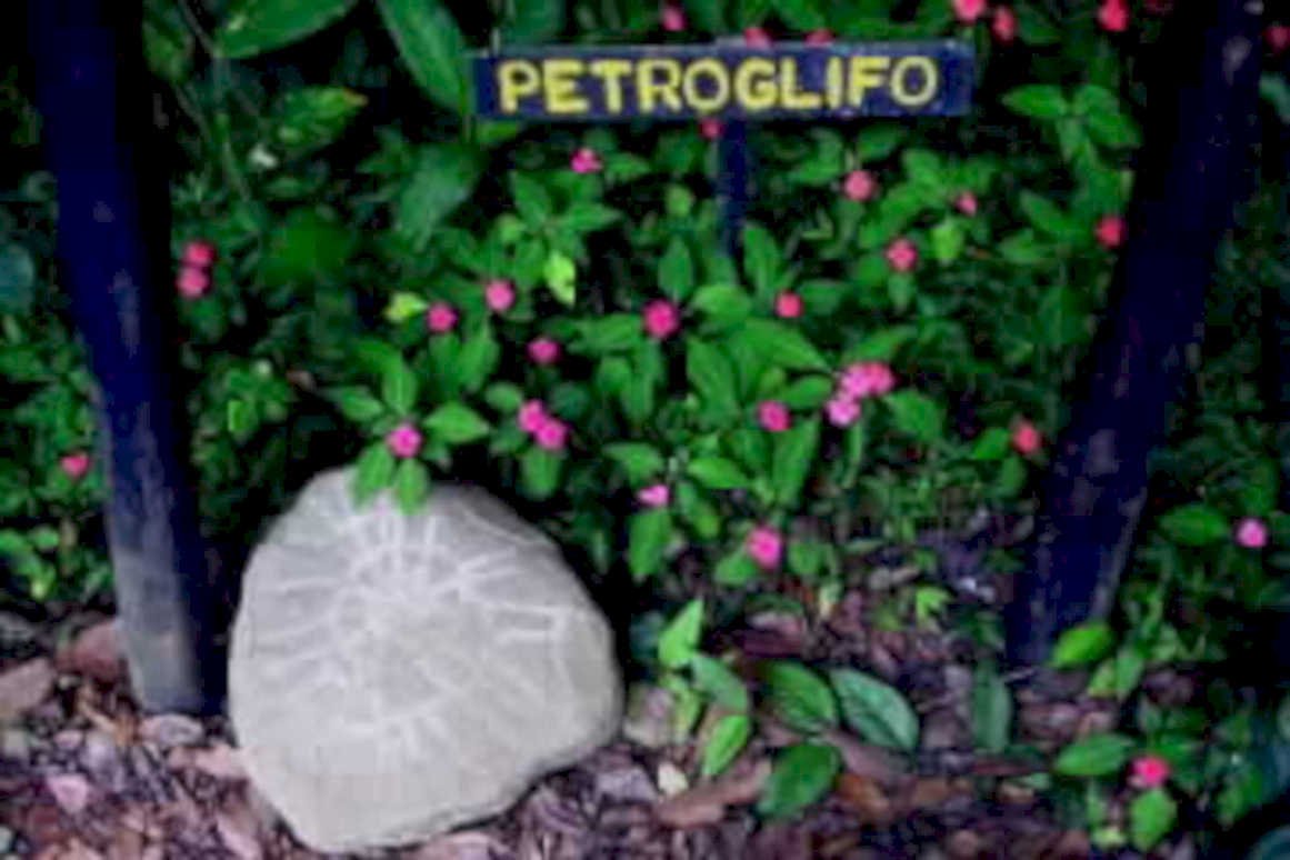 petroglifo stone flowers1980s 1990s A4 Photo Print