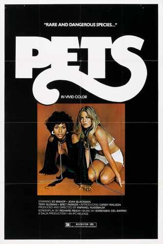 pets  01 film star poster A4 Photo Print