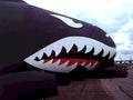 phantom ii vng1980s 1990s A4 Photo Print
