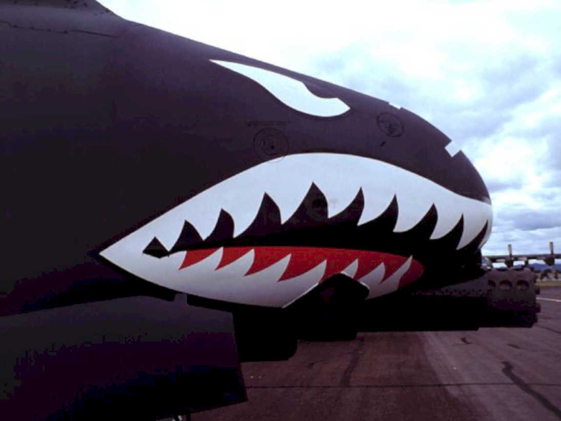 phantom ii vng1980s 1990s A4 Photo Print