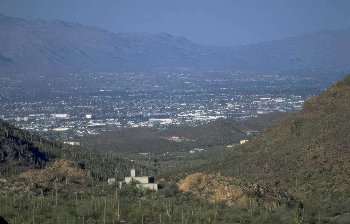 phoenix skyline saguaro 1 Vintage A4 Photo Print