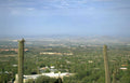 phoenix skyline saguaro 2 Vintage A4 Photo Print