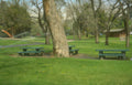 picnic benches spring Vintage A4 Photo Print
