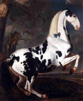 piebald Art A4 Photo Print
