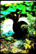 pikachu pokemon sky Vintage A4 Photo Print