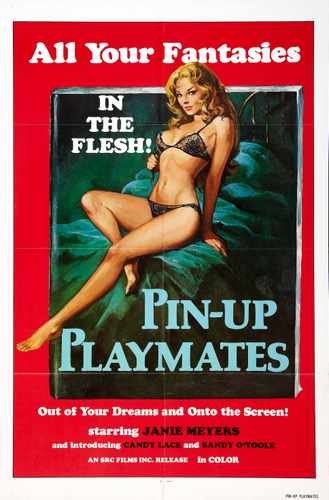 pin up playmates  01 film star poster A4 Photo Print