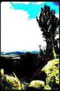 pine hills sky Vintage A4 Photo Print