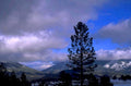 pine sky mountains 1980s 1990s A4 Photo Print