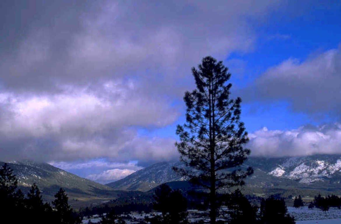 pine sky mountains 1980s 1990s A4 Photo Print