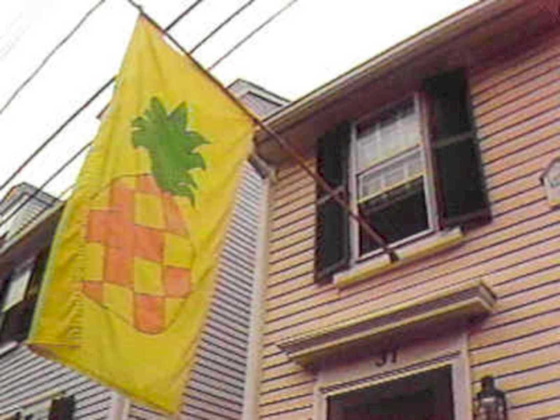 pineapple flag house1980s 1990s A4 Photo Print