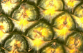 pineapple scales macro Vintage A4 Photo Print
