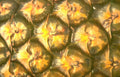 pineapple textures scales