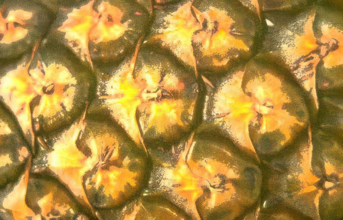 pineapple textures scales