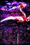 pink dragon reflection Vintage A4 Photo Print