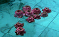 pink lotus water1980s 1990s A4 Photo Print