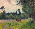 piss Cows in a Meadow Sunset Art A4 Photo Print