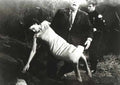 plan 9 from outer space 04 film star poster A4 Photo Print