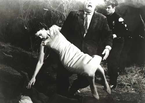 plan 9 from outer space 04 film star poster A4 Photo Print