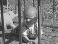 playpen crying infant1980s 1990s A4 Photo Print