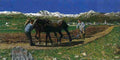 ploughin Art A4 Photo Print