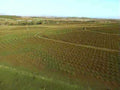 plowed field rows1980s 1990s A4 Photo Print