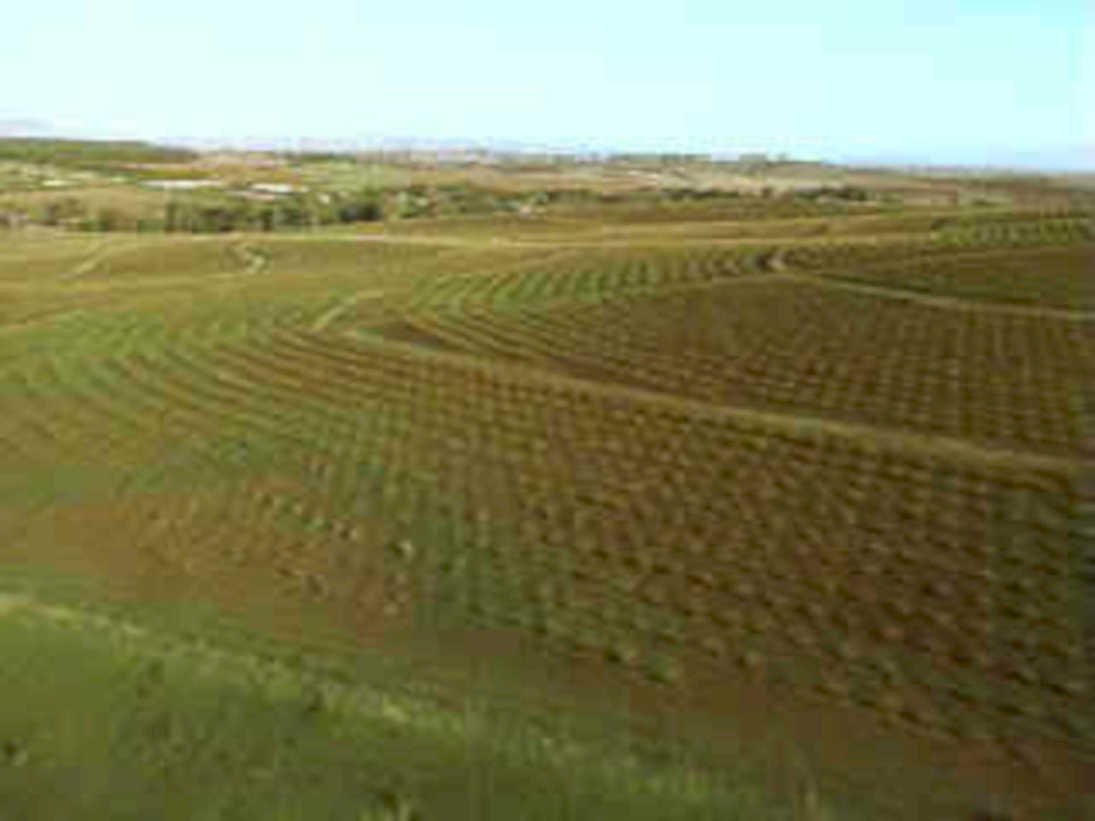 plowed field rows1980s 1990s A4 Photo Print
