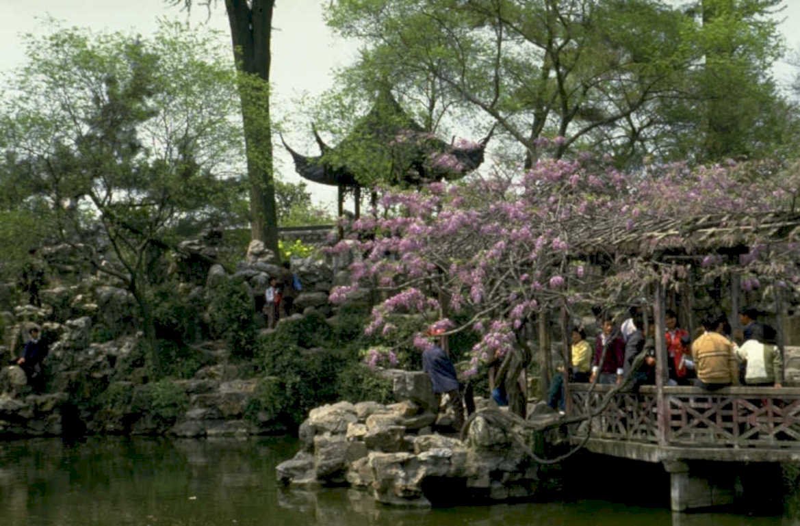 plum blossom garden 1980s 1990s A4 Photo Print