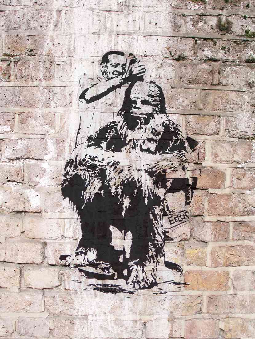 plus Chewbacca haircut Barber A4 Photo Print