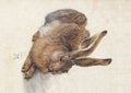 plus Field hare by Durer A4 Photo Print
