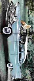 plymouth 1959 savoy sedan x A4 Photo Print