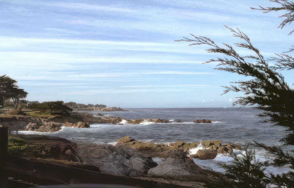 point lobos coastline Vintage A4 Photo Print