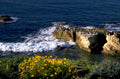 point lobos sea 1980s 1990s A4 Photo Print