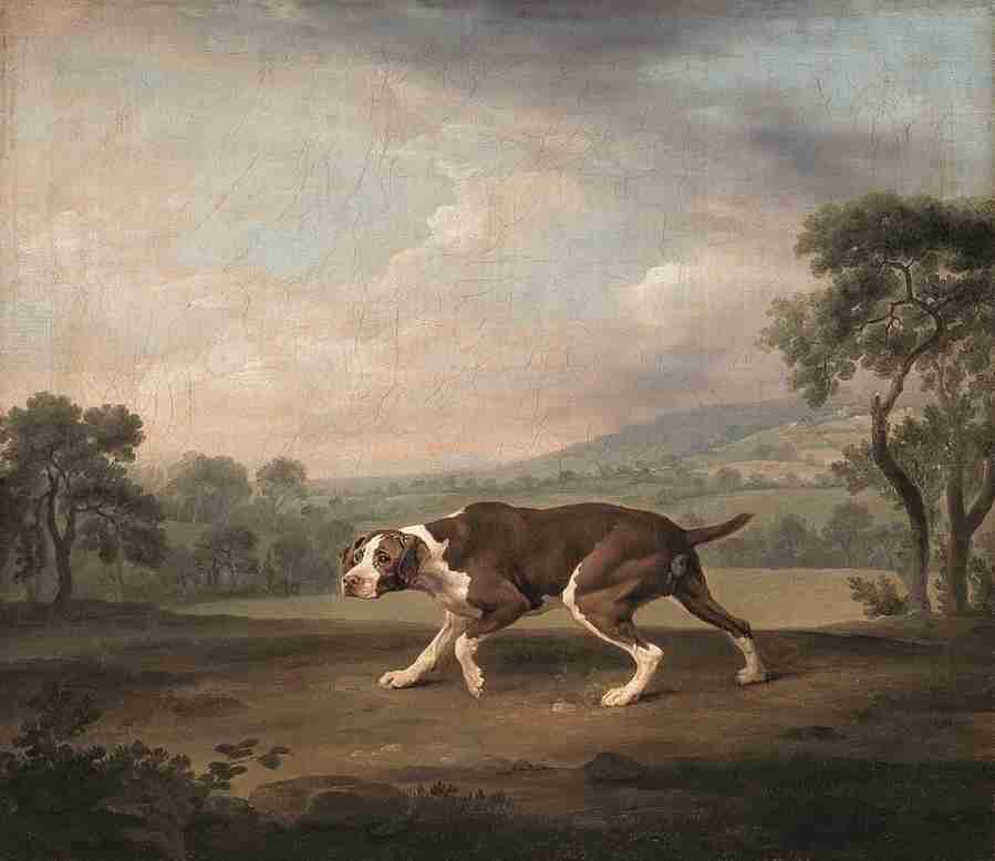 pointer Art A4 Photo Print
