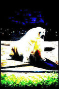 polar bear arctic Vintage A4 Photo Print