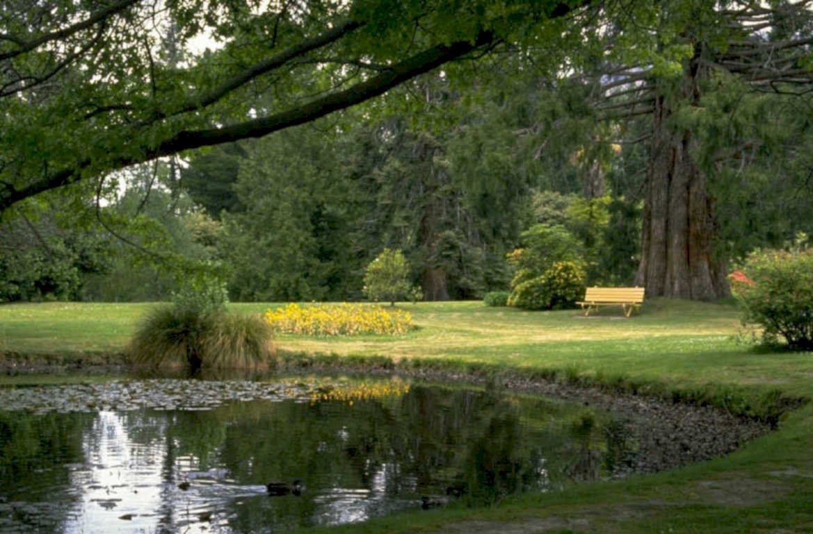 pond bench redwood 1980s 1990s A4 Photo Print