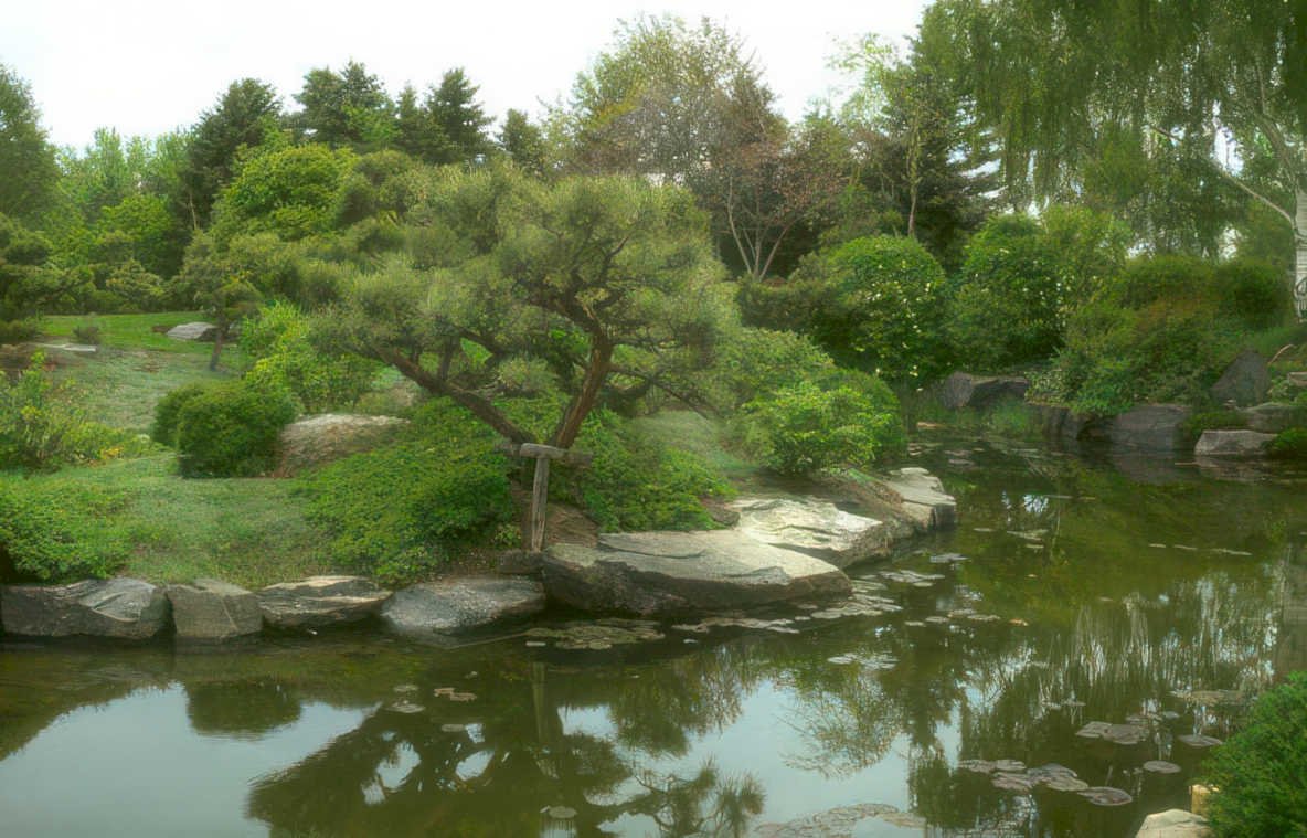 pond garden scene Vintage A4 Photo Print