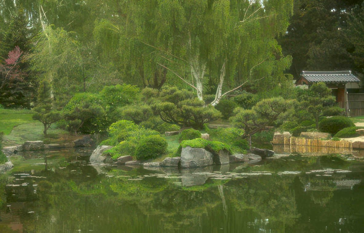 pond willow garden Vintage A4 Photo Print