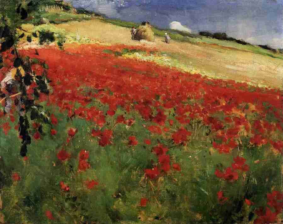 poppies Art A4 Photo Print